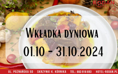Wkładka dyniowa 2024